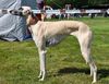 Profile picture of the animal